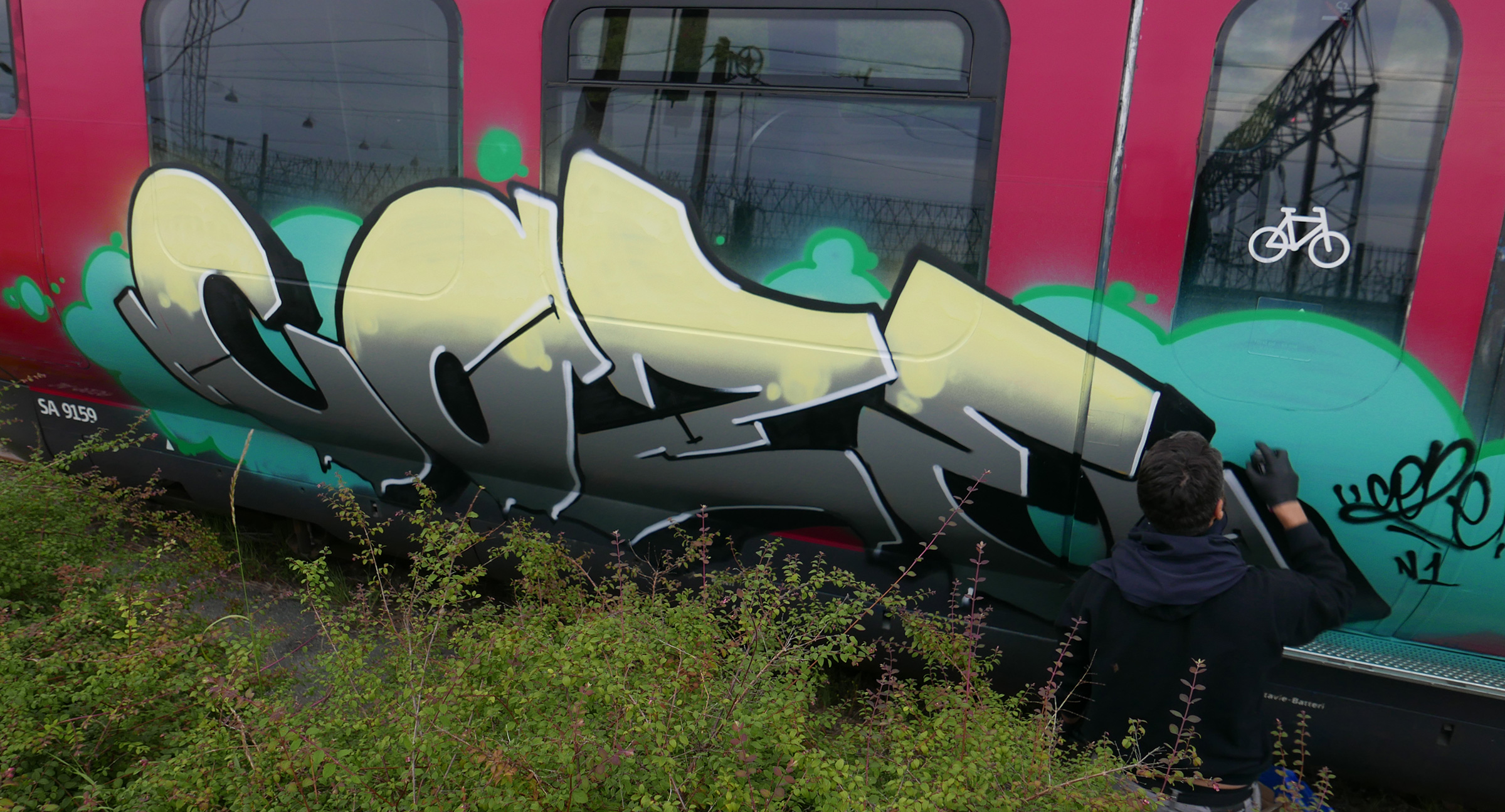 Pannello di Coze - Graffiti treno